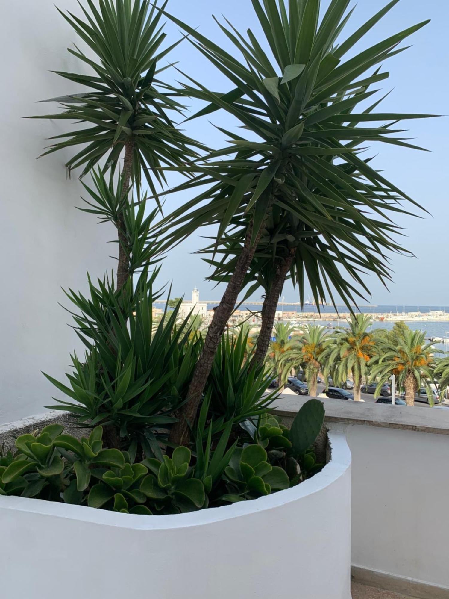 Terrazza Diomede- Manfredi Homes & Villas Manfredonia Exteriör bild